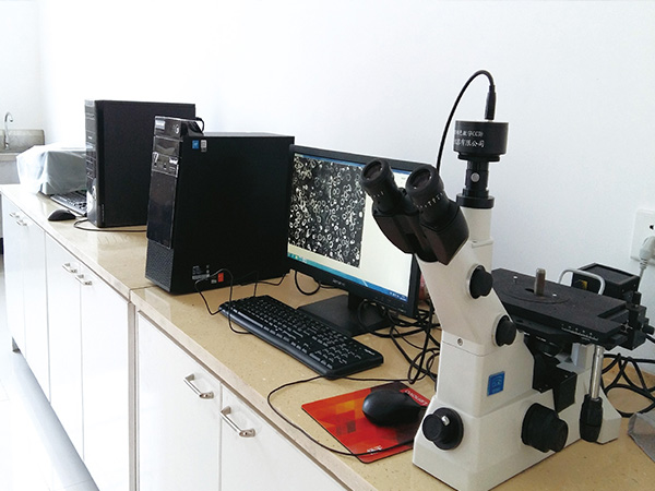 廠區(qū)內(nèi)景